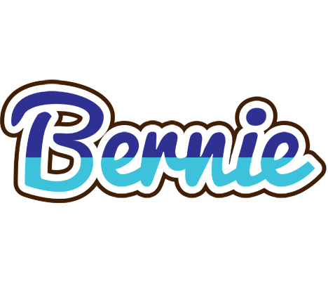 Bernie raining logo