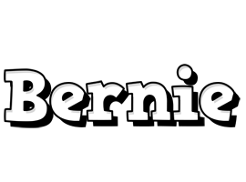 Bernie snowing logo