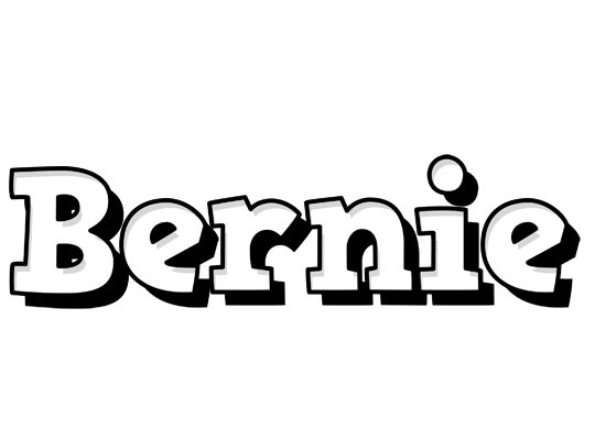 Bernie snowing logo