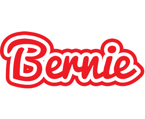 Bernie sunshine logo