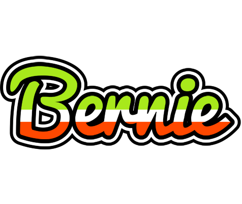 Bernie superfun logo
