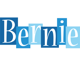Bernie winter logo