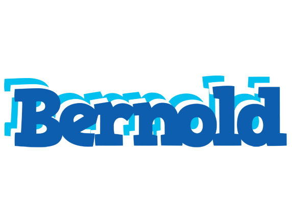 Bernold business logo
