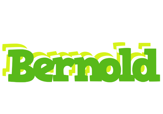 Bernold picnic logo