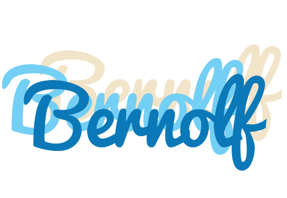 Bernolf breeze logo