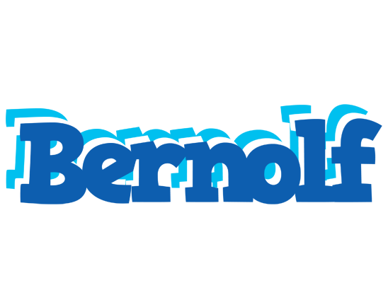 Bernolf business logo