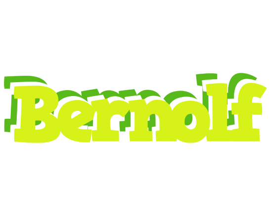 Bernolf citrus logo