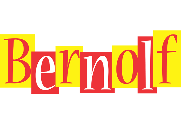 Bernolf errors logo