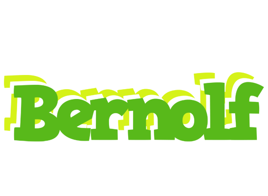 Bernolf picnic logo