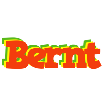 Bernt bbq logo