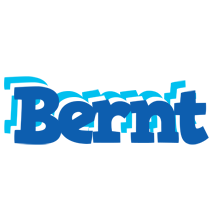 Bernt business logo