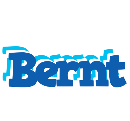 Bernt business logo