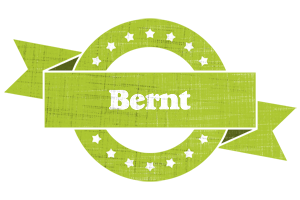 Bernt change logo