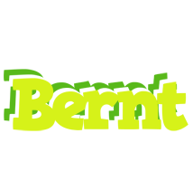 Bernt citrus logo