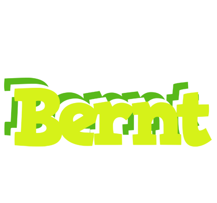 Bernt citrus logo