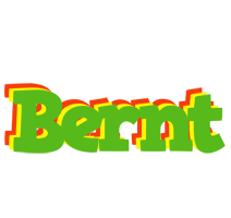 Bernt crocodile logo