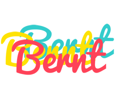 Bernt disco logo