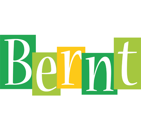 Bernt lemonade logo