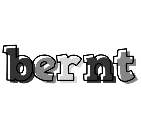 Bernt night logo