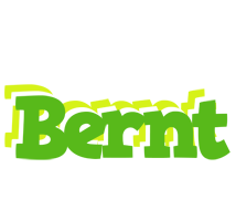 Bernt picnic logo