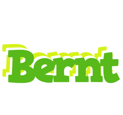 Bernt picnic logo