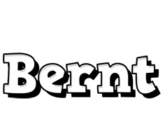 Bernt snowing logo