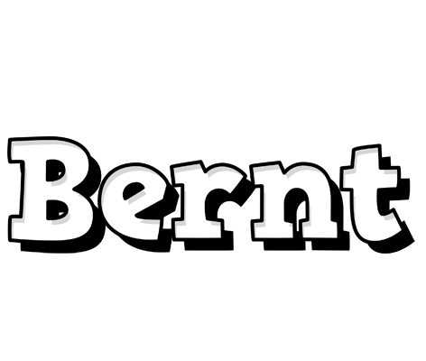 Bernt snowing logo