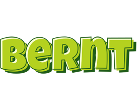 Bernt summer logo