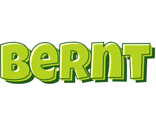 Bernt summer logo
