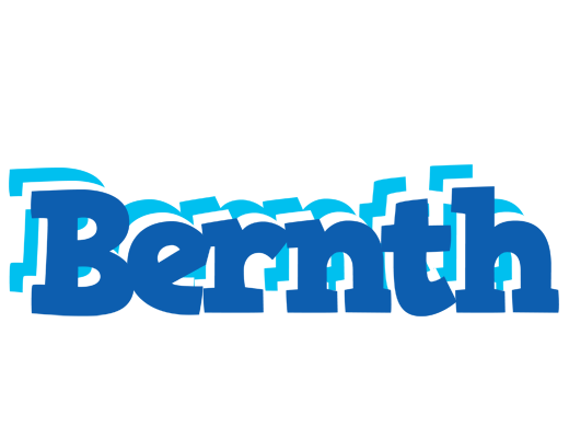 Bernth business logo