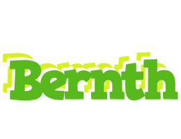 Bernth picnic logo