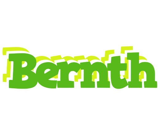 Bernth picnic logo
