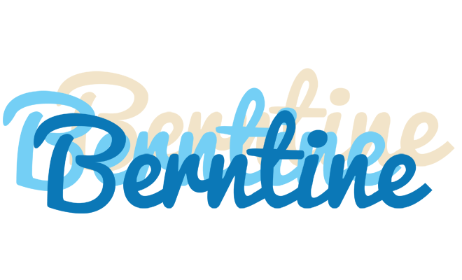 Berntine breeze logo