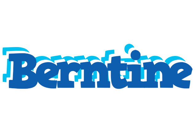 Berntine business logo