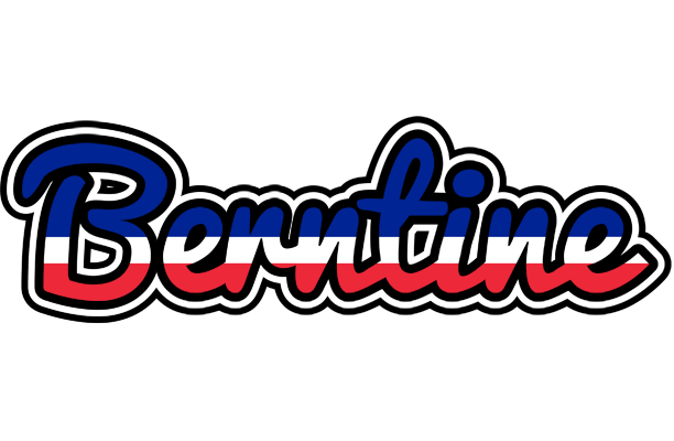 Berntine france logo