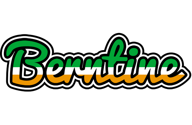 Berntine ireland logo