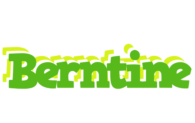 Berntine picnic logo