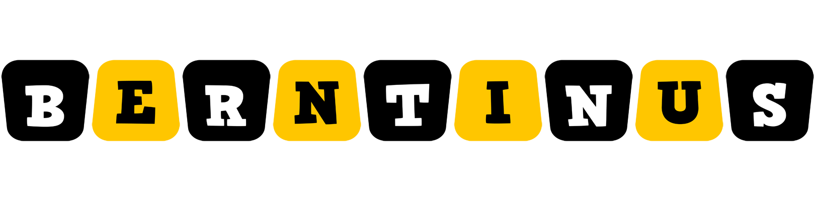 Berntinus boots logo