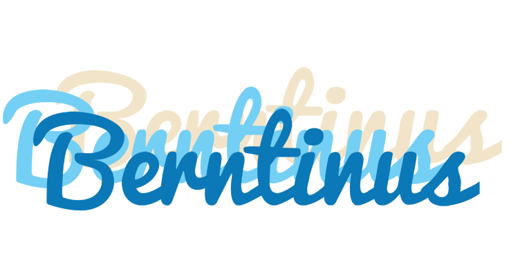 Berntinus breeze logo