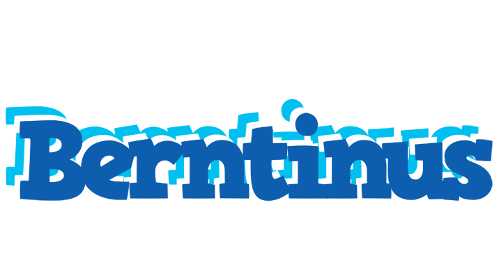 Berntinus business logo