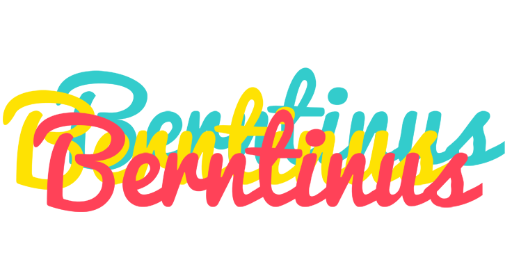 Berntinus disco logo