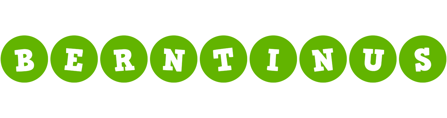 Berntinus games logo