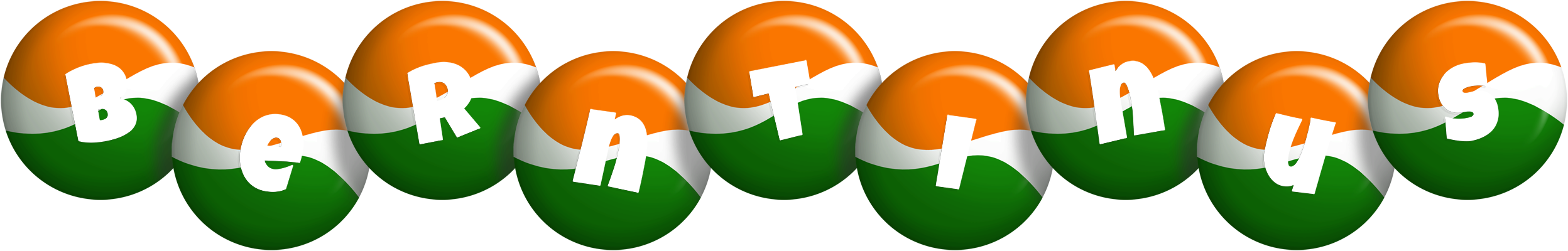 Berntinus india logo