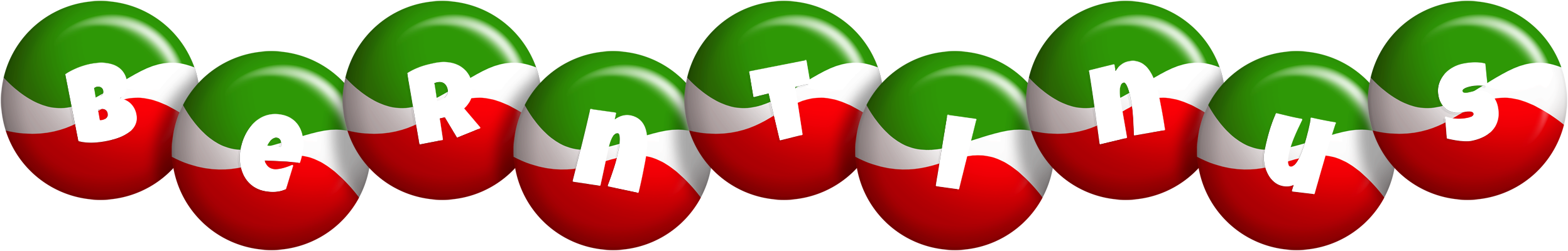 Berntinus italy logo