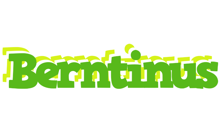 Berntinus picnic logo