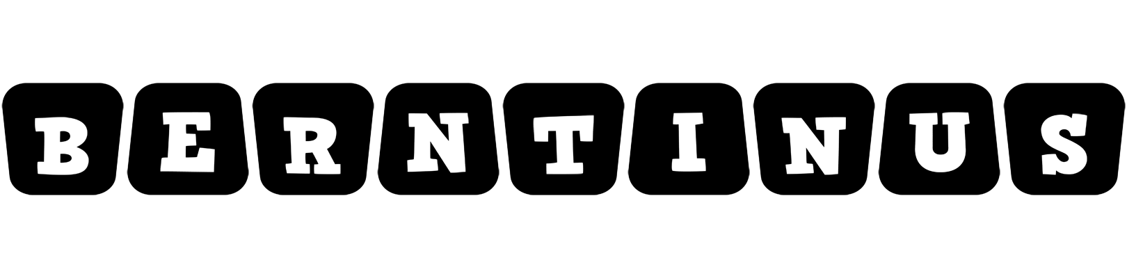 Berntinus racing logo