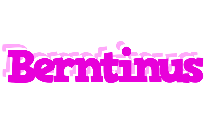 Berntinus rumba logo