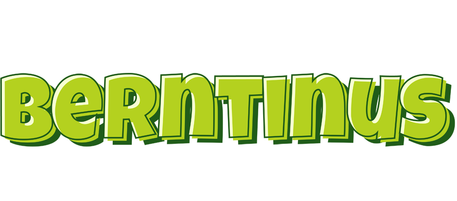 Berntinus summer logo