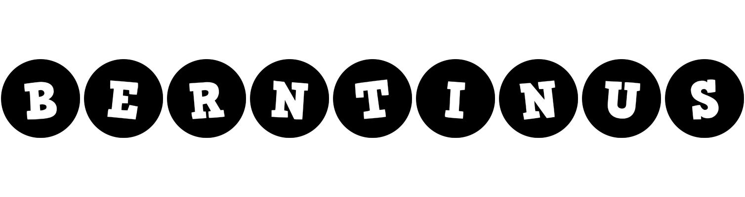 Berntinus tools logo