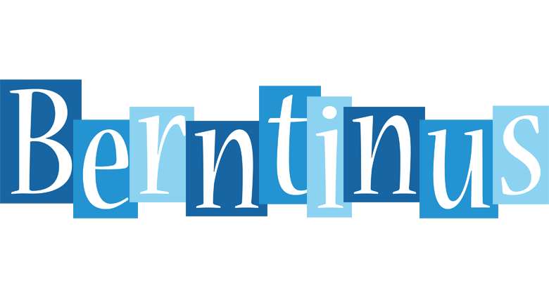 Berntinus winter logo